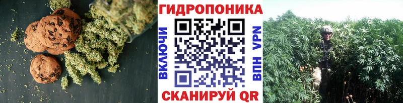 Canna-Cookies марихуана  Томск 